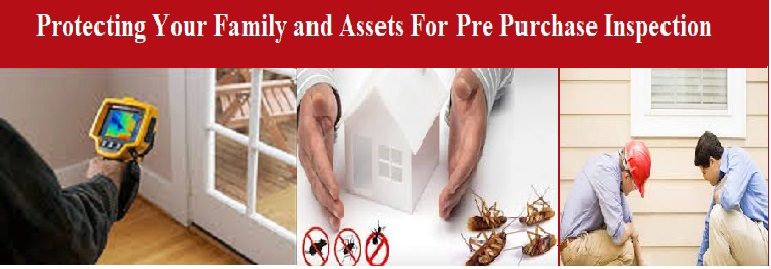 Pre Purchased Inspections experts