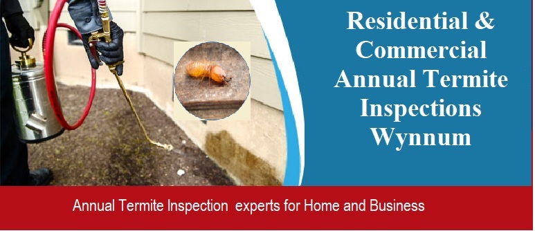 Annual Termite Inspections services