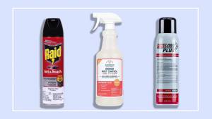Bug Spray