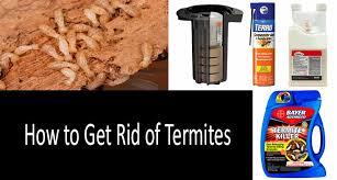 Termite Bait Treatment