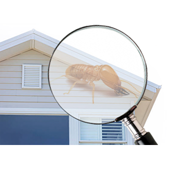 Pre purchase Inspections Pre purchase Inspections